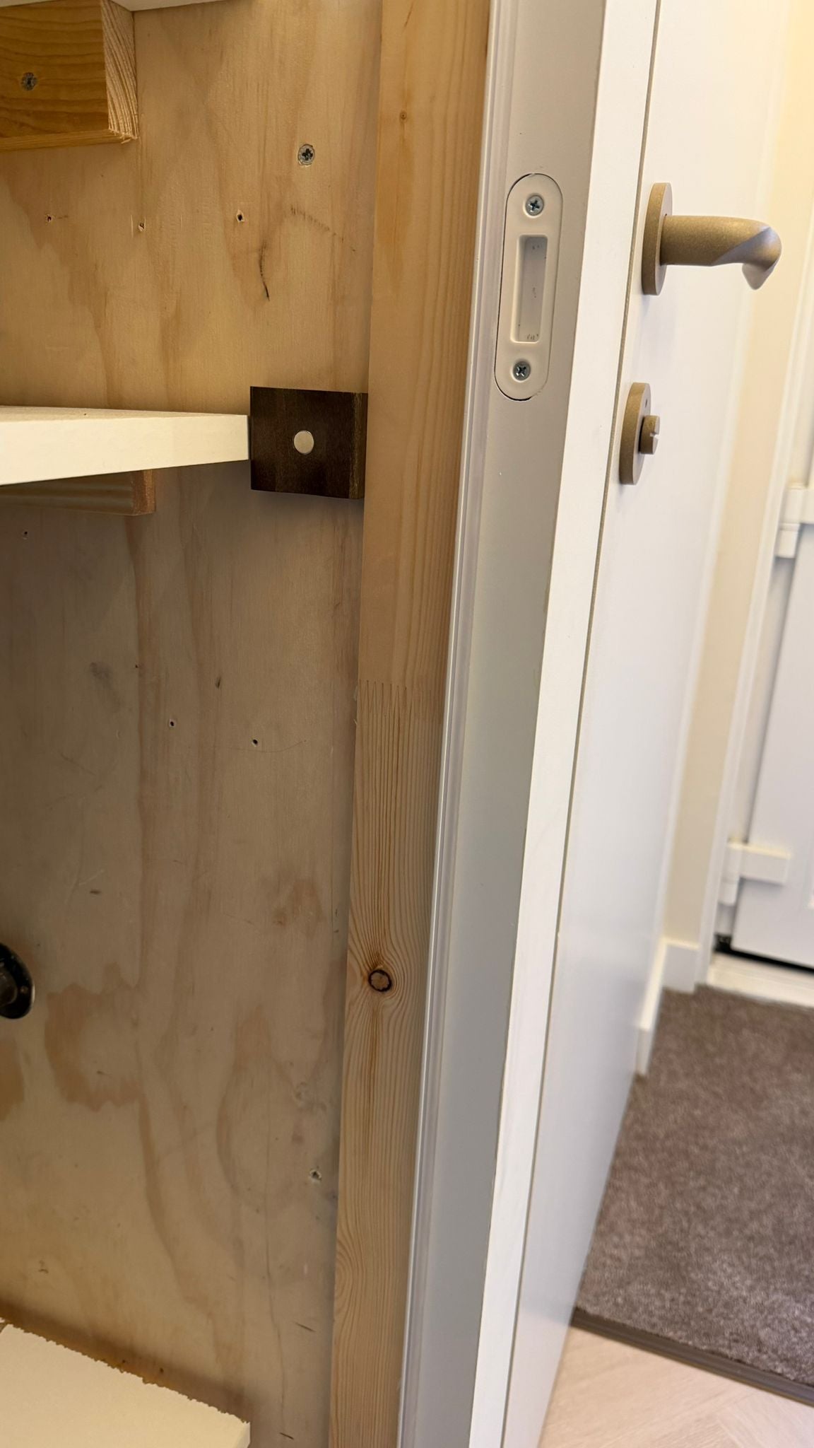 Schoenenlepel magnetisch