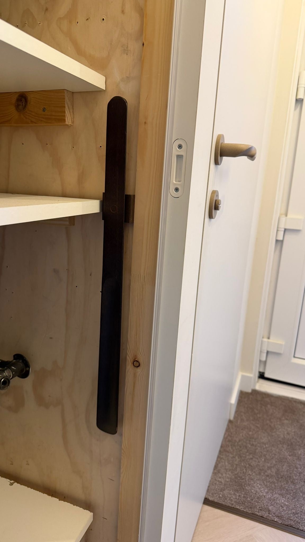 Schoenenlepel magnetisch