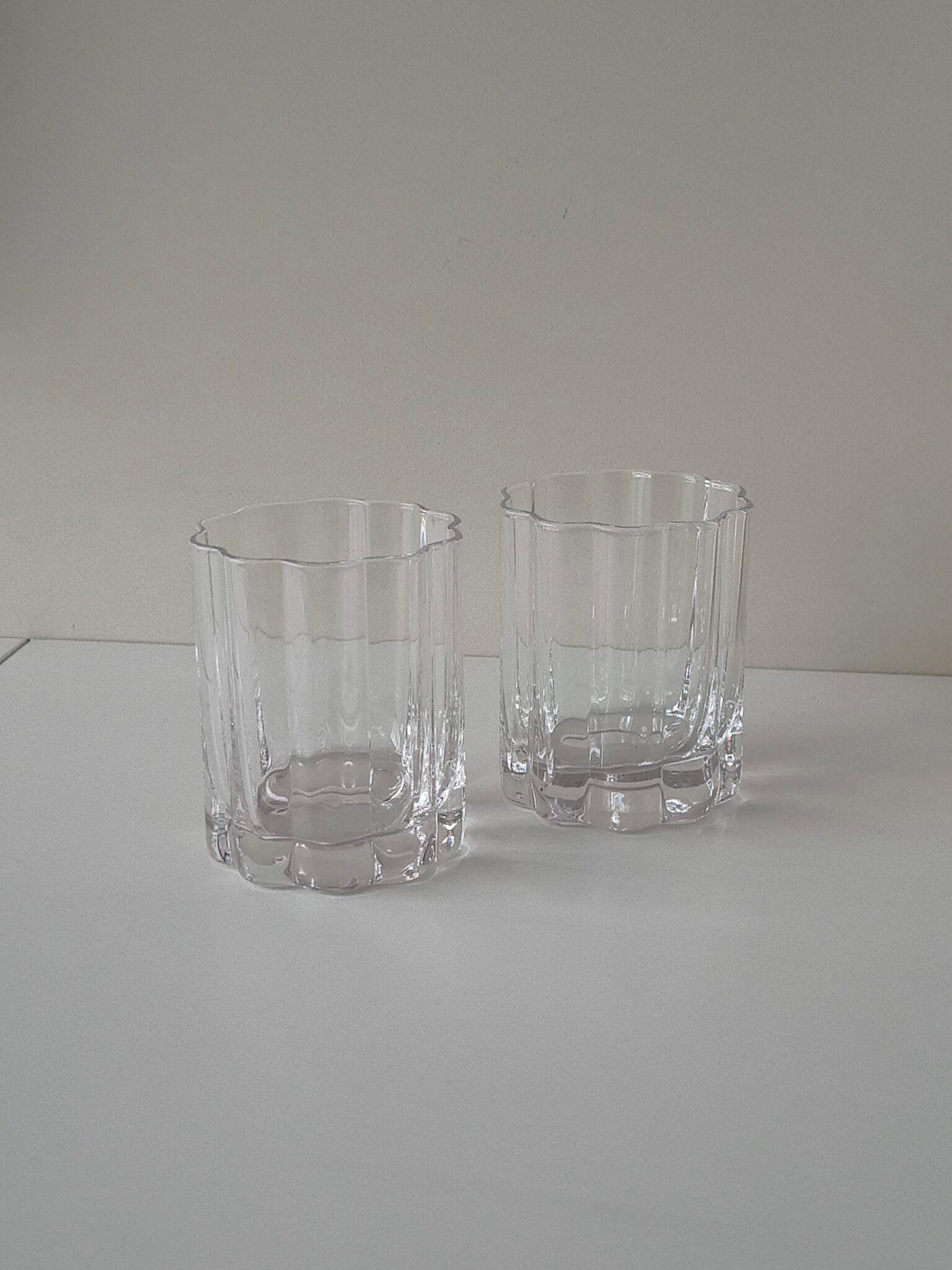 Luno drinkglas in bloemen design | 2 stuks | 220 ml